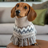 Ulllig vinter alpacka hundponcho