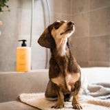 Hydrating hundshampoo