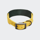 Cloud7 Hundhalsband Wide Maksimir Park Green/Yellow
