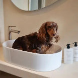 Sensitive hundbalsam